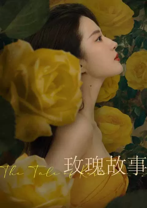玫瑰的故事