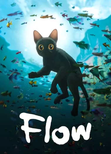 猫猫的奇幻漂流