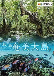 世界自然遗产：奄美大岛