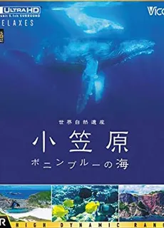 世界自然遗产：小笠原