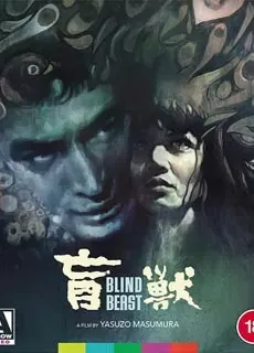 盲兽