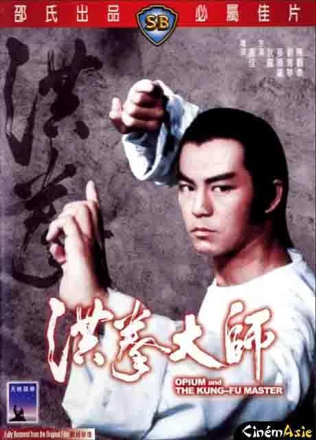洪拳大师