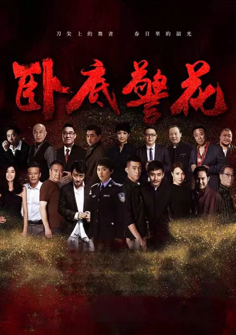 卧底警花