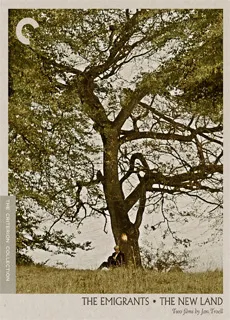 新大陆