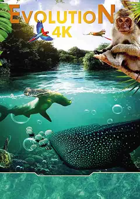 进化