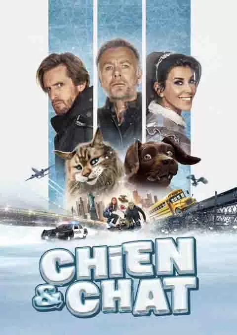 猫狗大乱斗