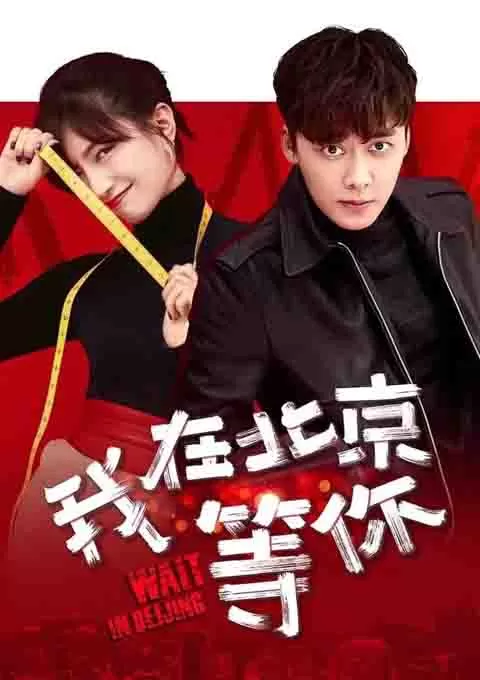我在北京等你