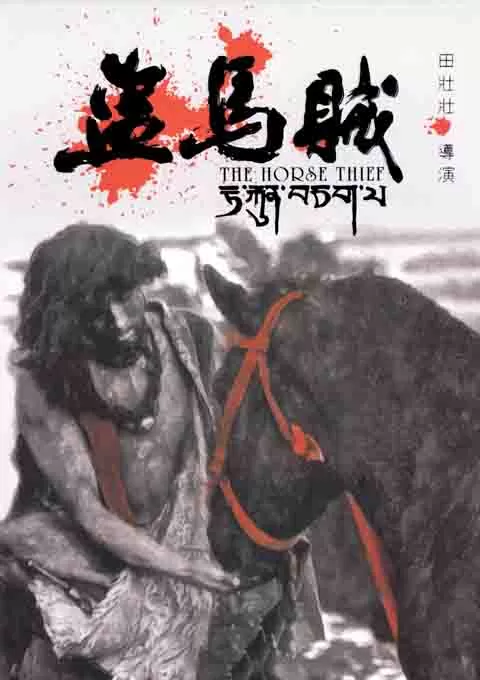 盗马贼