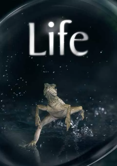 生命