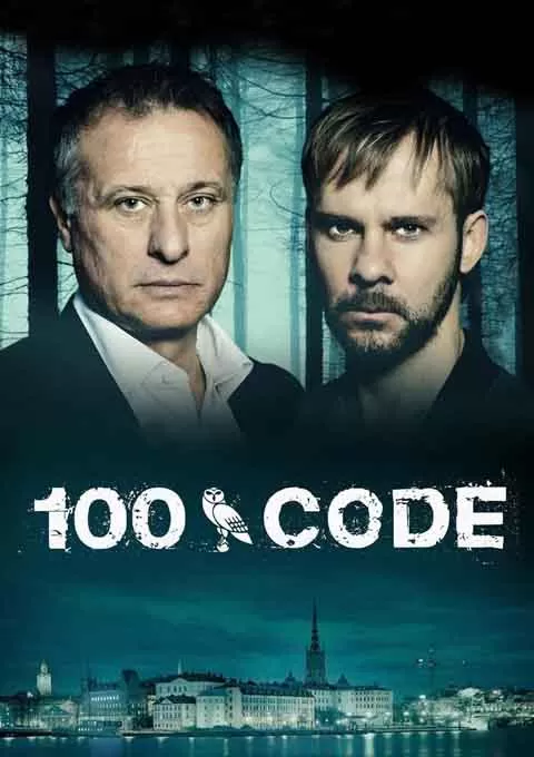 代码100