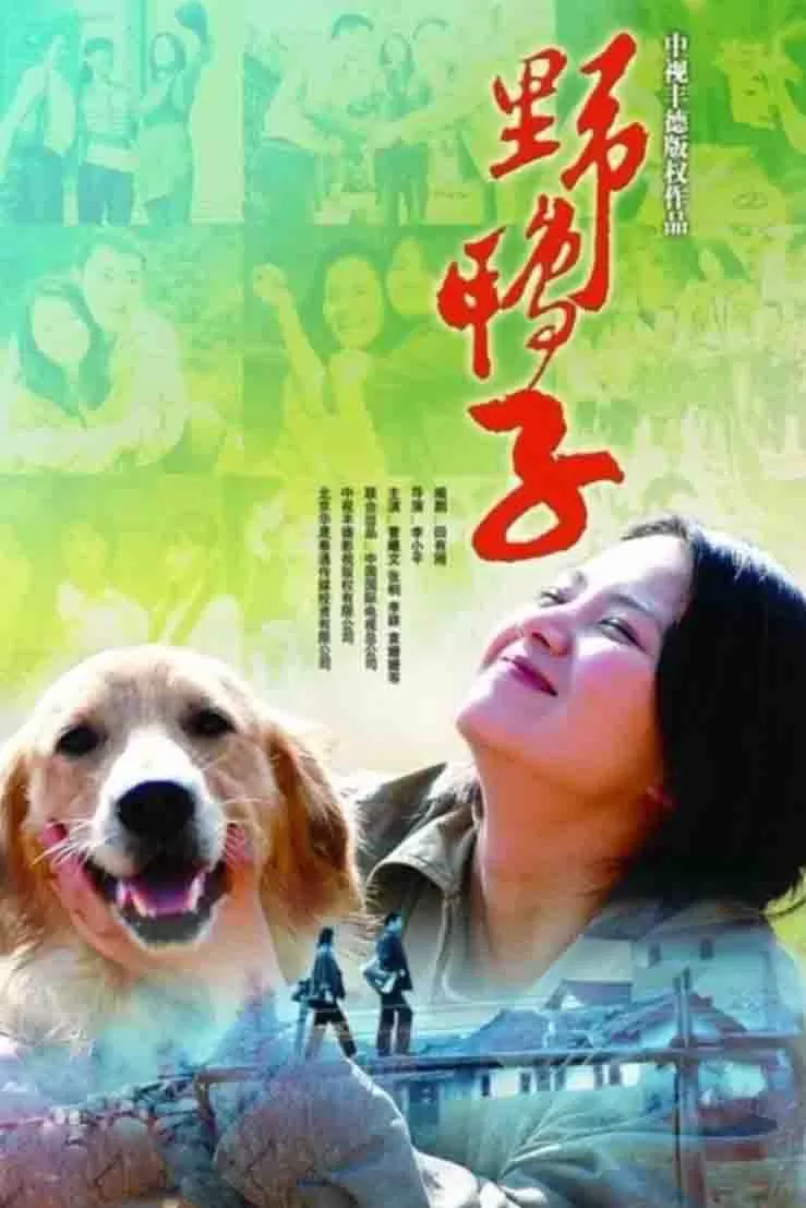 野鸭子
