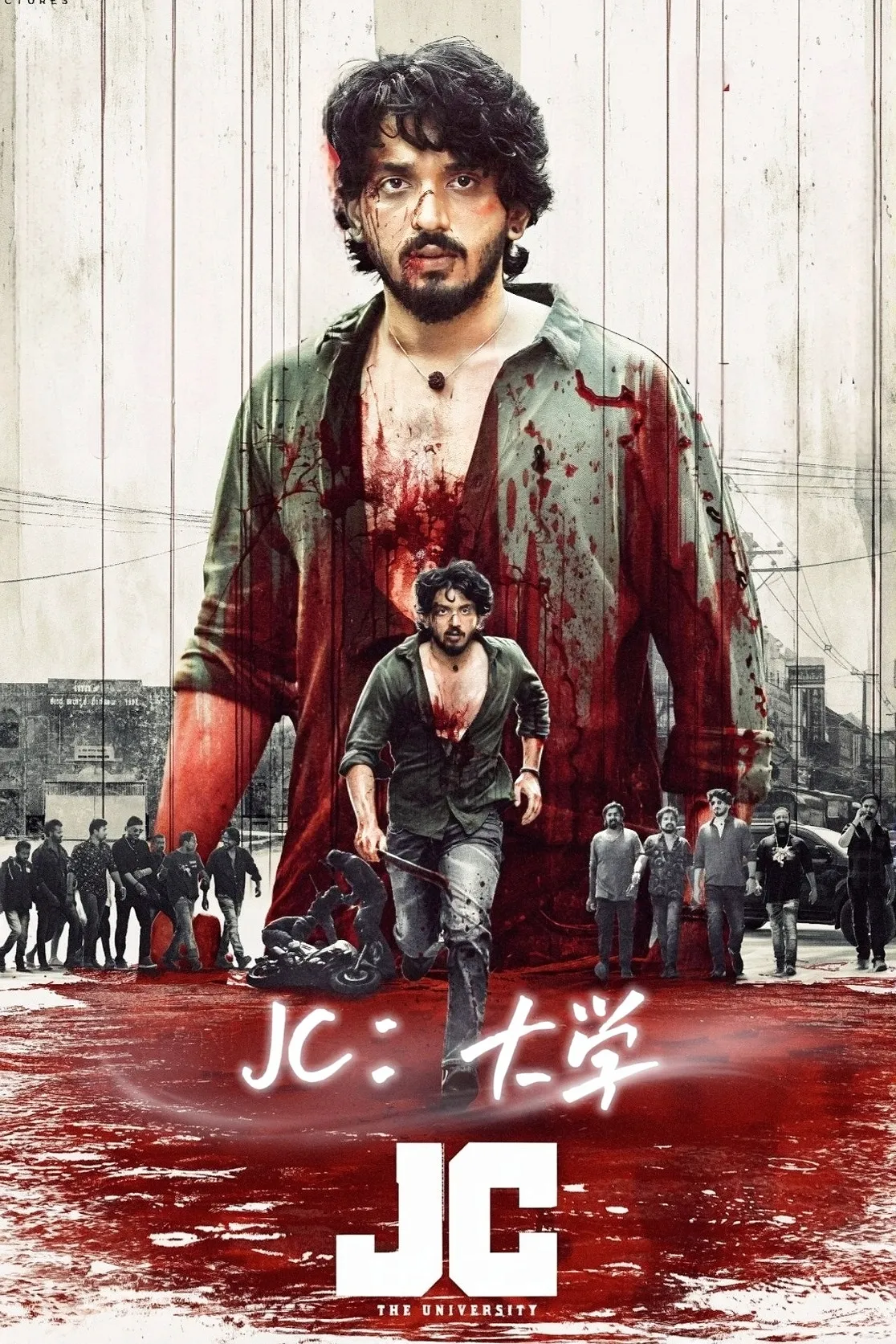 JC：大学